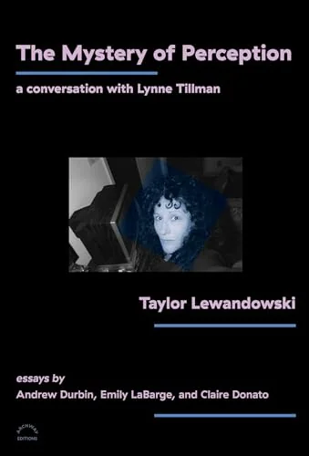 Cover of The Mystery of Perception: A Conversation with Lynne Tillman